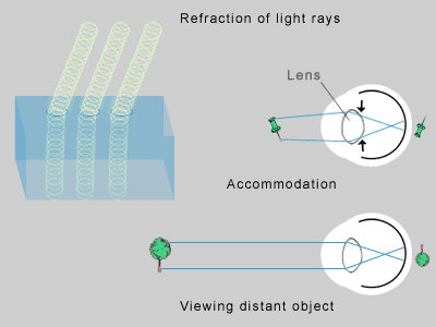 Errors Of Refraction. This is called refraction.